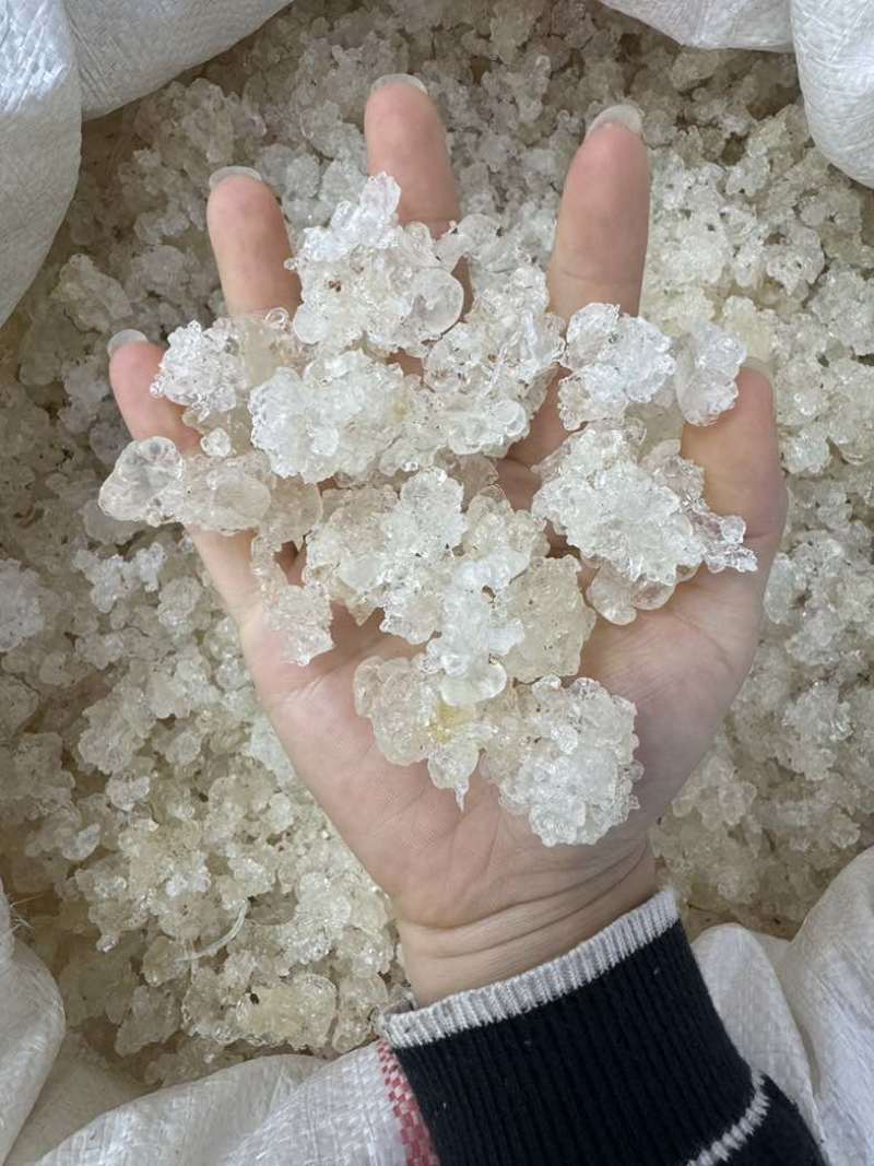 雪燕