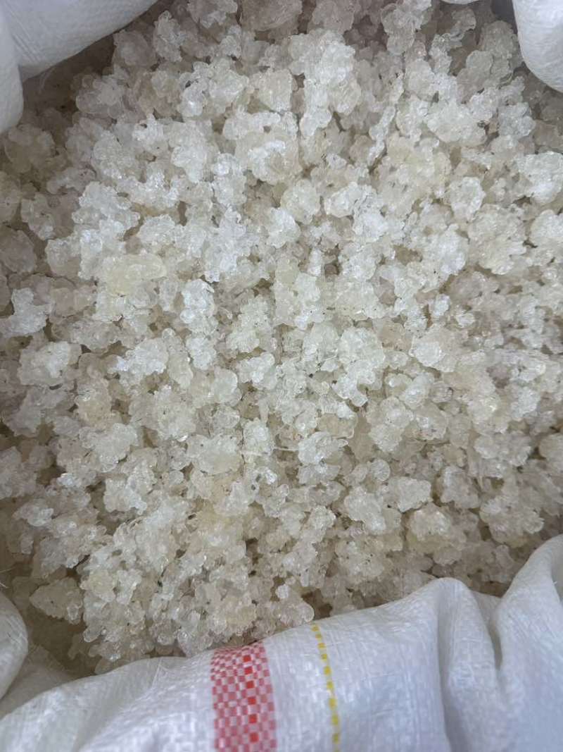 雪燕