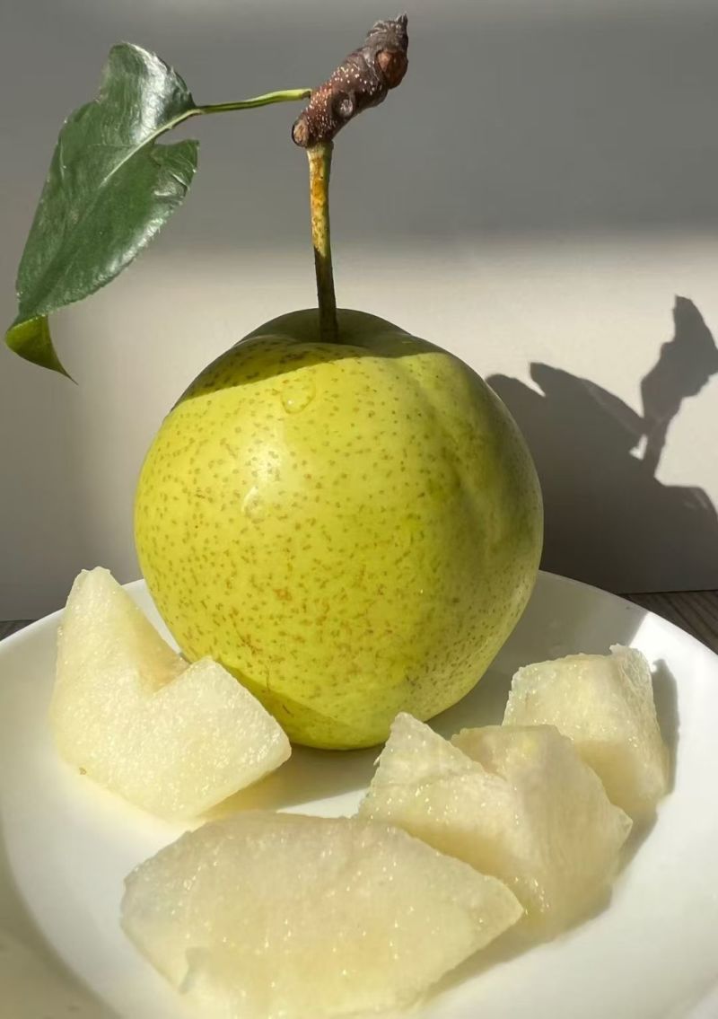 青皮皇冠梨
