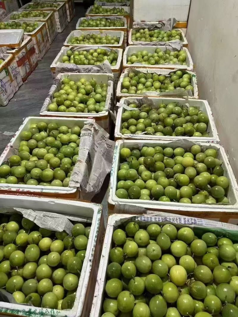 黄金百香果