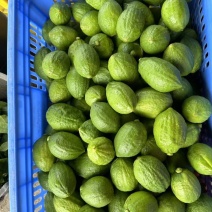 广东香水柠檬规格70-200g，新鲜采摘，果园直发