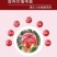 云南会泽盐水石榴~可以吃的雅诗兰黛