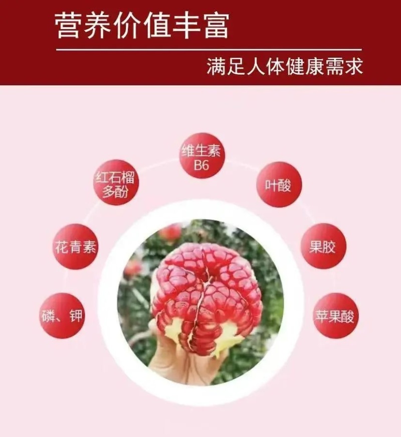 云南会泽盐水石榴~可以吃的雅诗兰黛