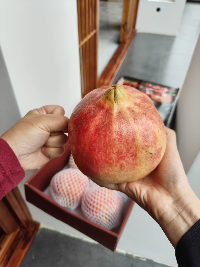 云南会泽盐水石榴~可以吃的雅诗兰黛