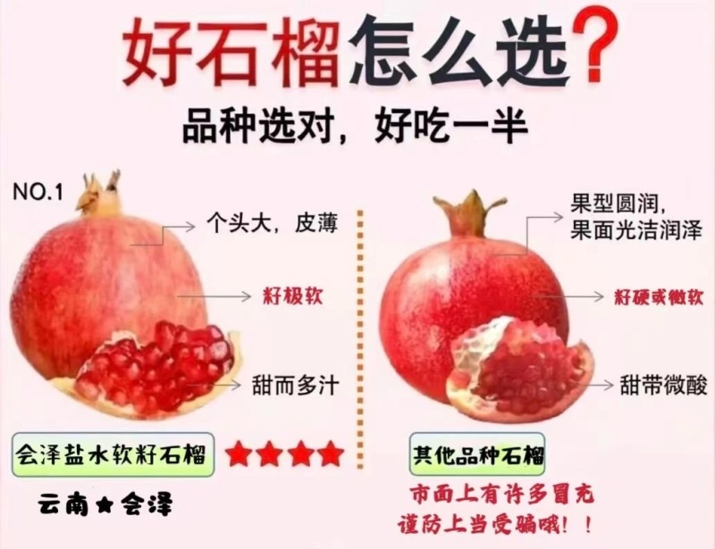 云南会泽盐水石榴~可以吃的雅诗兰黛