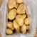 精品沃土中货
