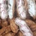 七彩花生