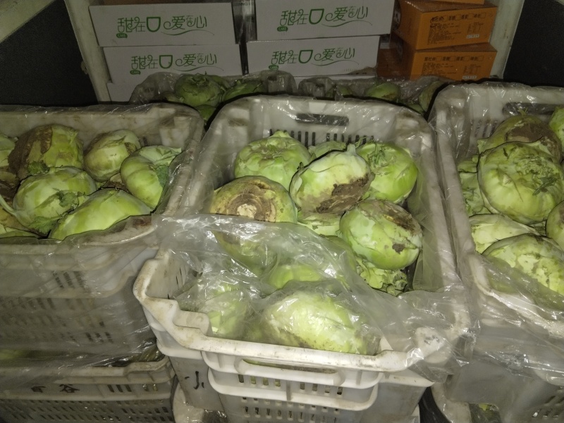 山西青苤蓝