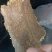 棉饼，上地专用不用二次发酵