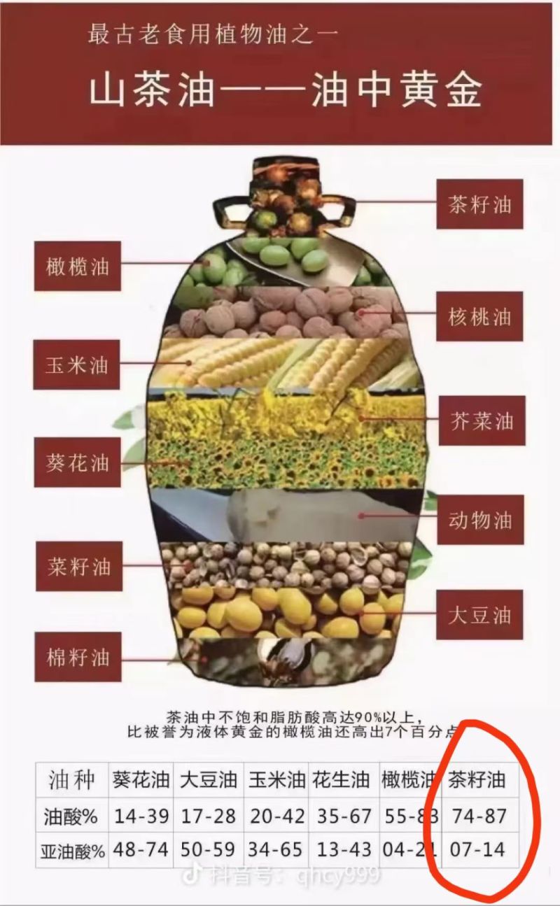 心茶油