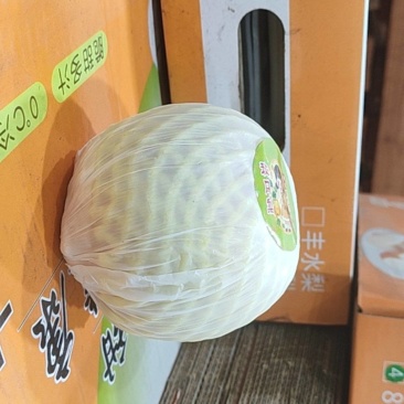 秋月梨