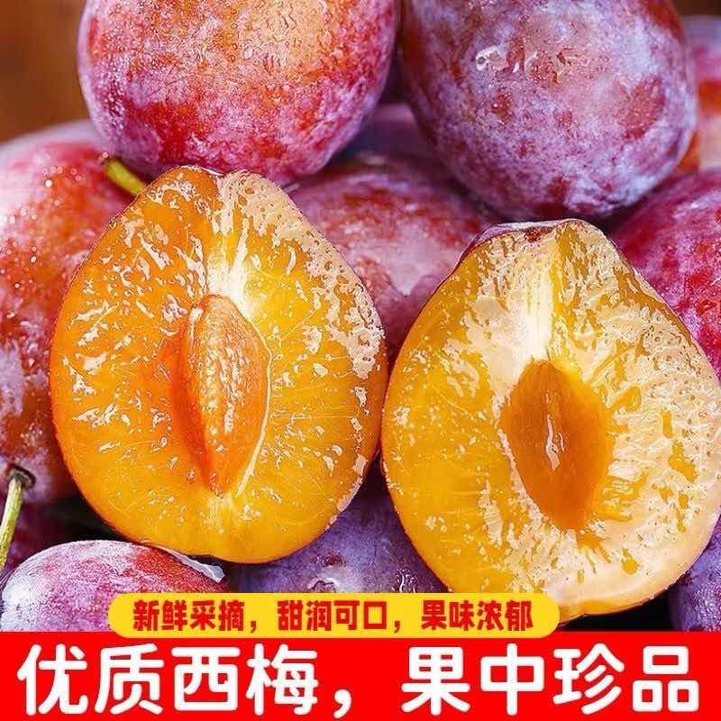 法兰西西梅净重4.5斤包装的