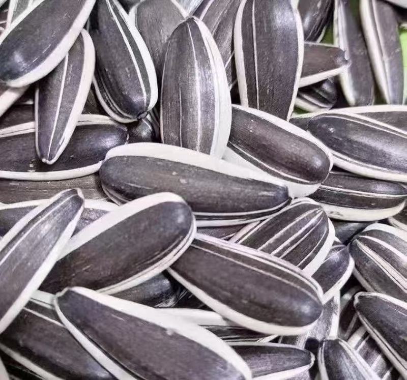 瓜子