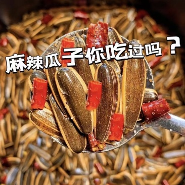 瓜子