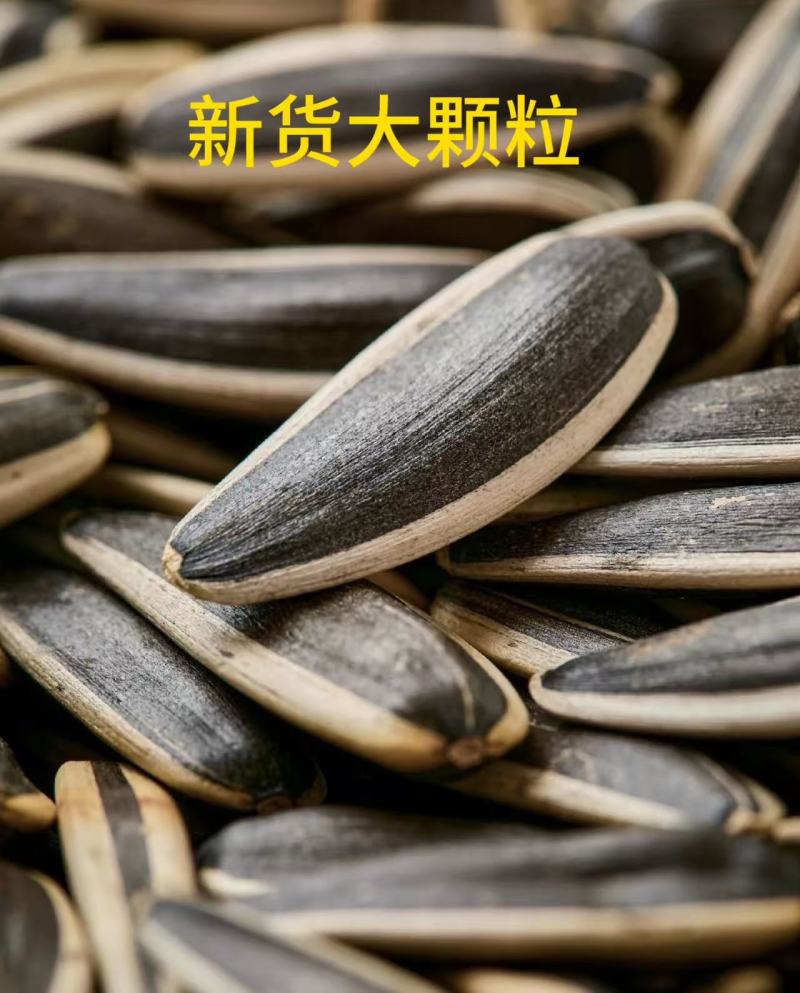 瓜子