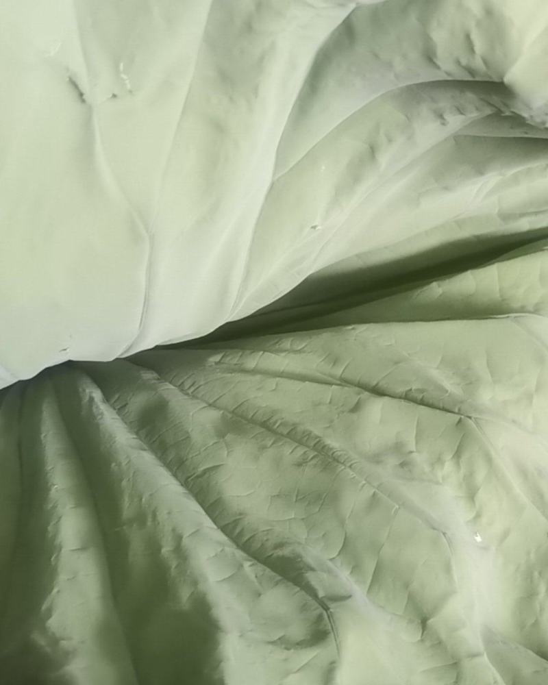 微山湖荷叶现货60吨。***********