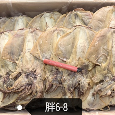 浙江墨鱼6-8个一斤。半盐墨鱼干干度好