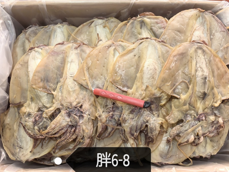 浙江墨鱼6-8个一斤。半盐墨鱼干干度好
