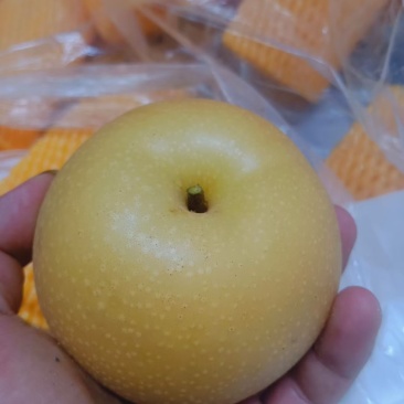 秋月，好货