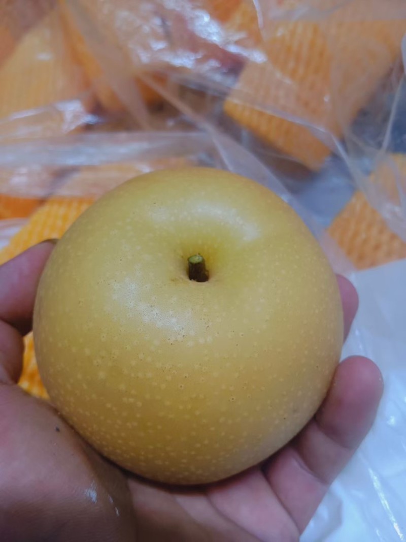 秋月，好货