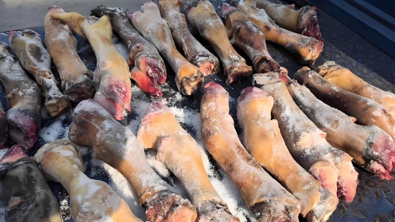 火烧小牛蹄卤煮、碳烤、红烧等等多种方式烹饪