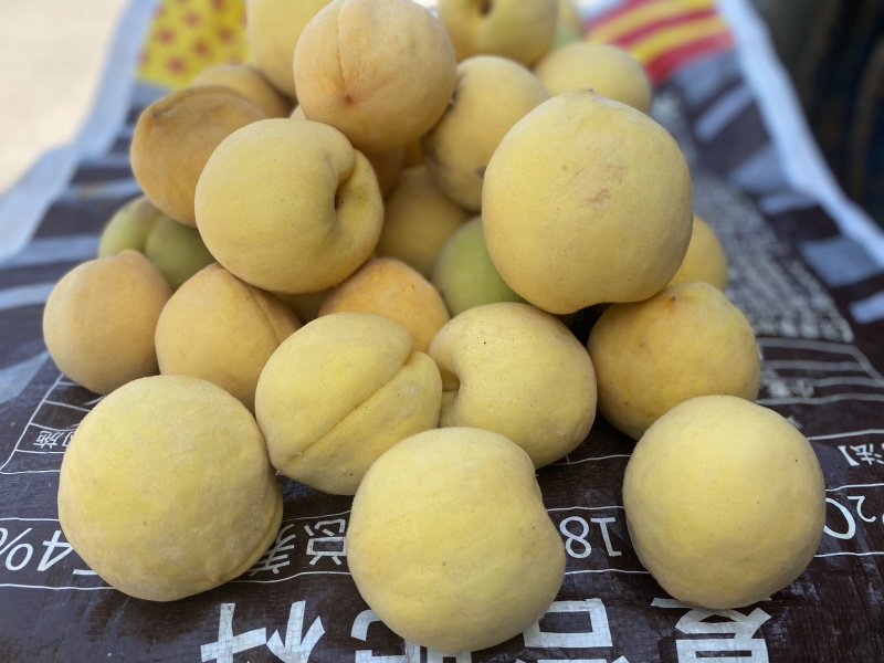 黄金脆黄桃