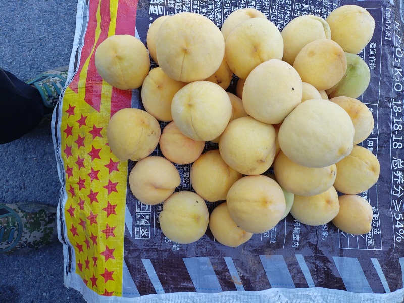 黄金脆黄桃