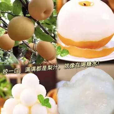 秋月梨