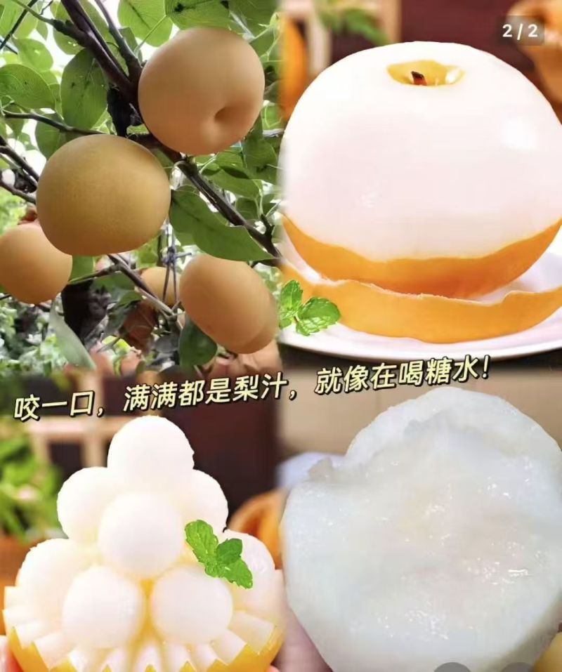 秋月梨
