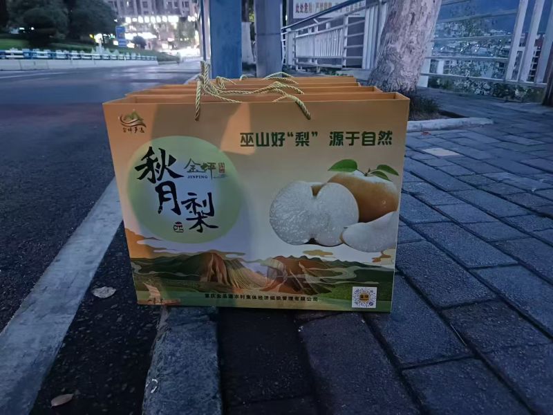 秋月梨