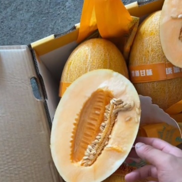 哈密瓜
