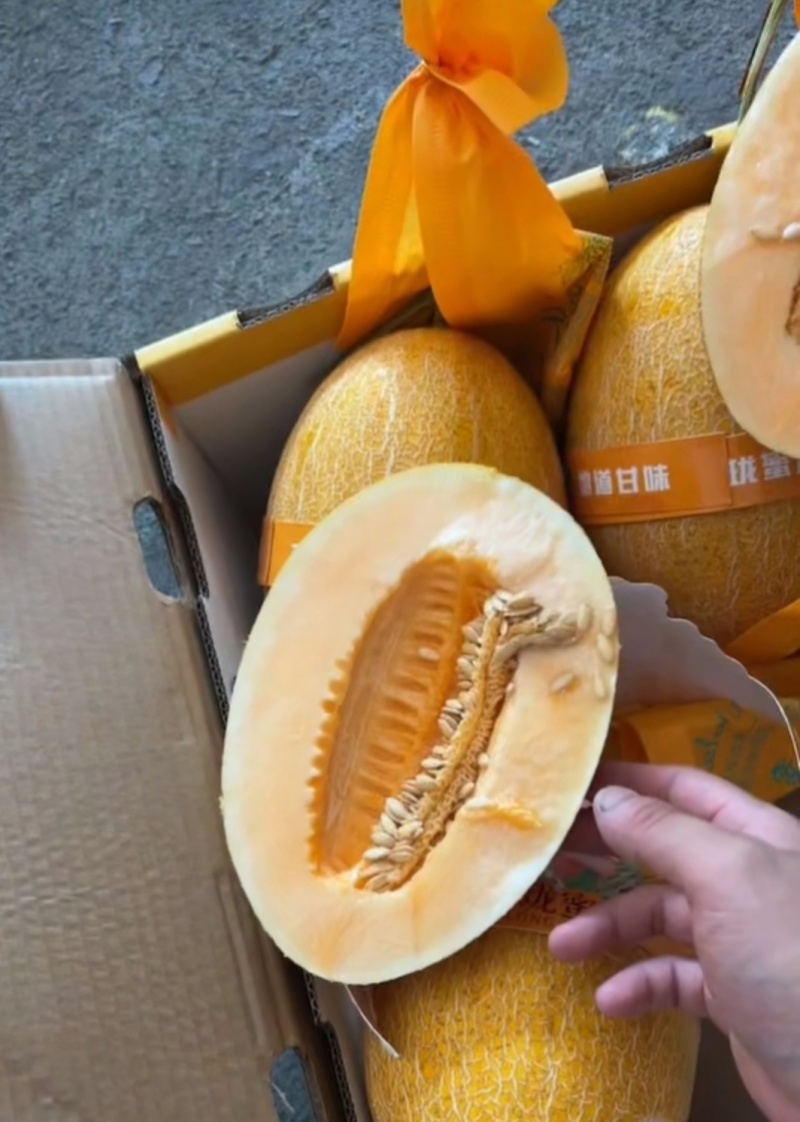 哈密瓜