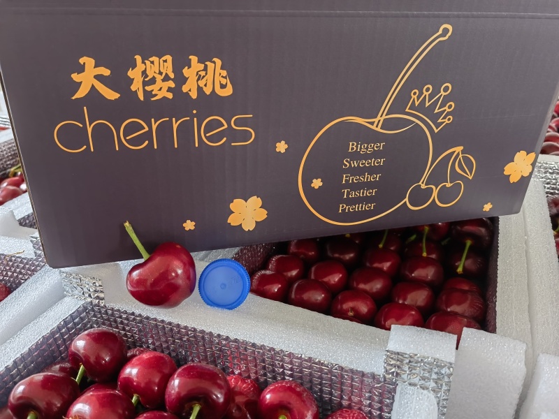 美早樱桃每年3-4月份