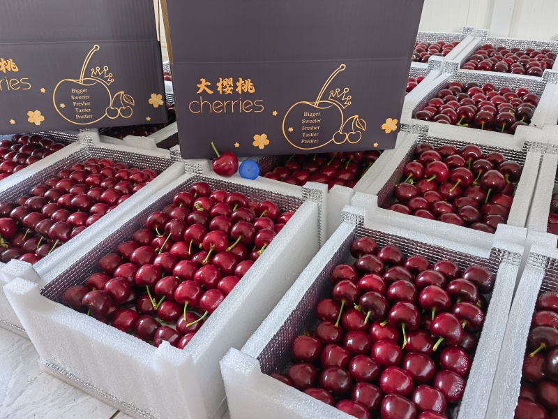 美早樱桃每年3-4月份