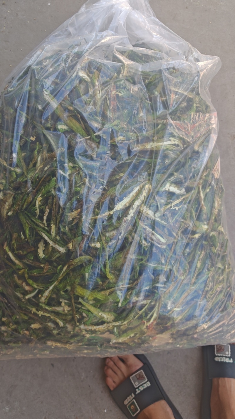 辣椒干