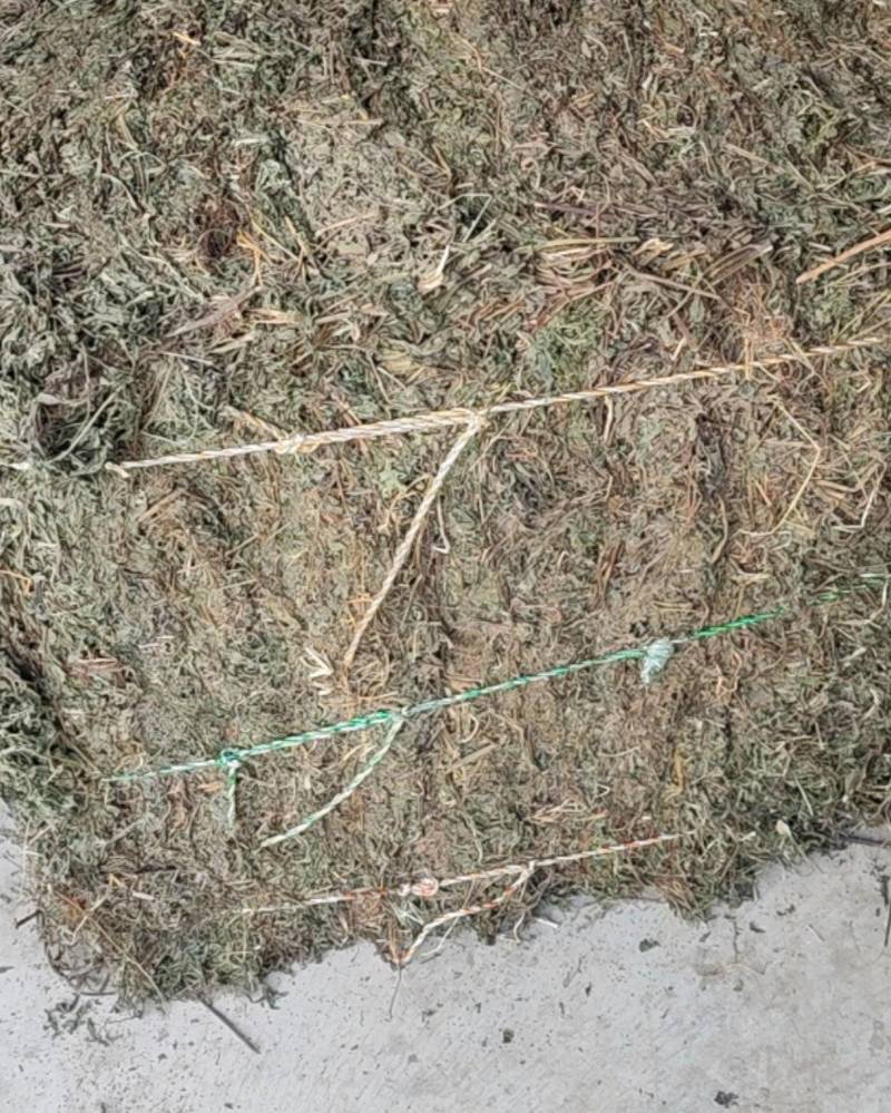 旱莲草野生旱莲草农家自采打捆旱莲草
