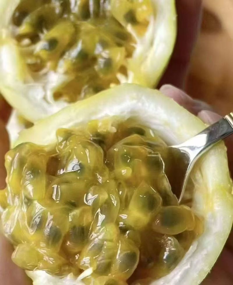 广西钦蜜9号百香果