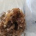 水发毛肚，边角料