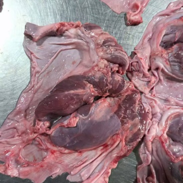 鲜品分割纯干肉心