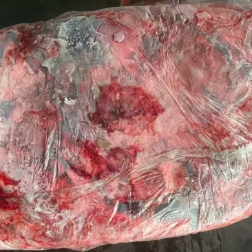食用级猪肺10吨