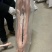 带皮山羊