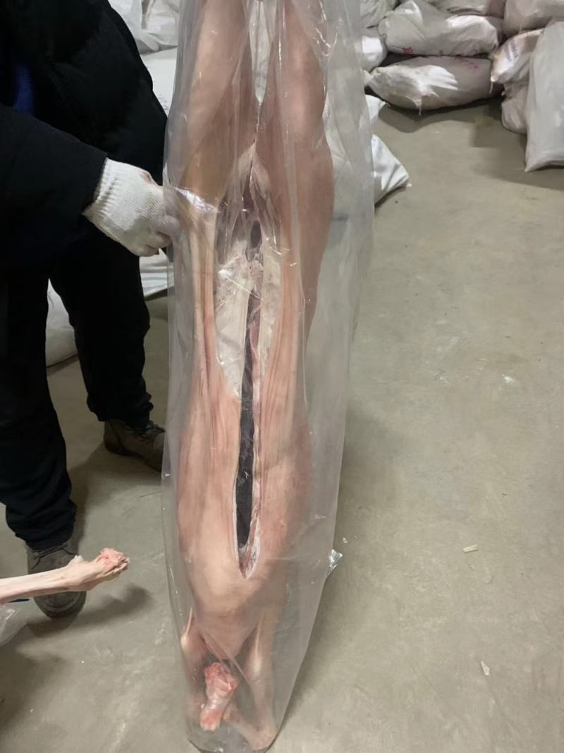 带皮山羊