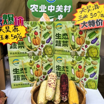 平谷数智农场鲜食玉米品种农科糯336