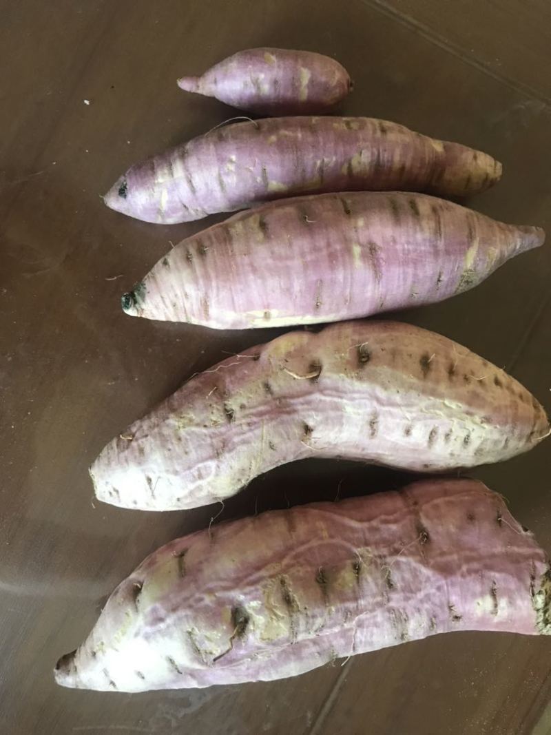 冰糖心白哈密红薯