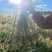 云南文山特产灵芝山药小黄姜花生小米椒