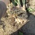 云南文山特产灵芝山药小黄姜花生小米椒