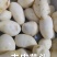 光芋头粉糯丝滑一烧就熟