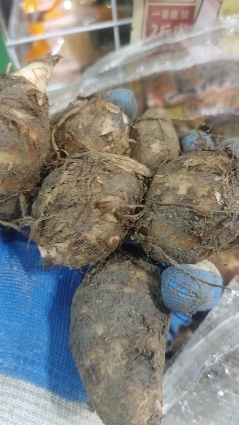光芋头粉糯丝滑一烧就熟