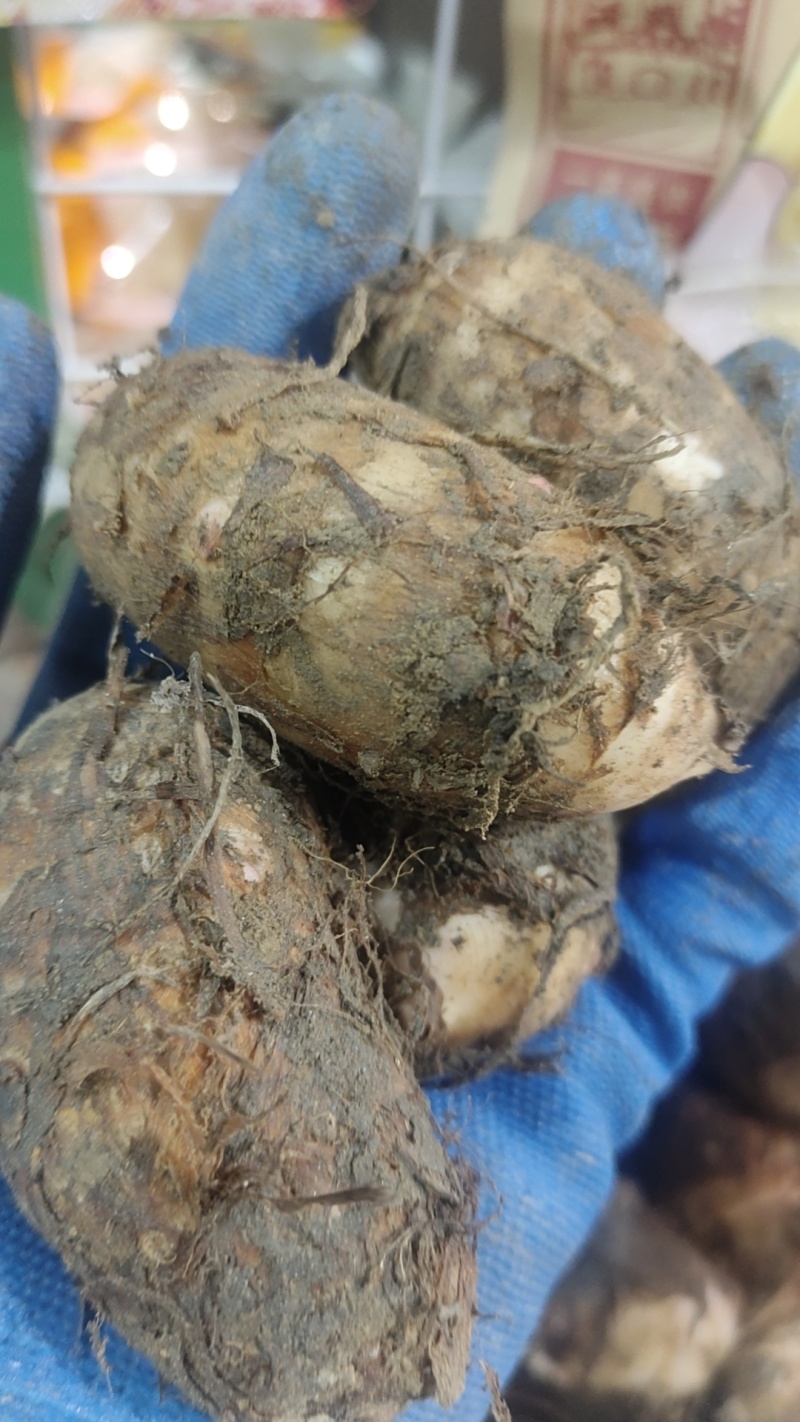 光芋头粉糯丝滑一烧就熟