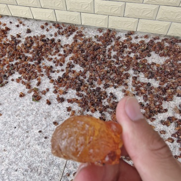 桃胶